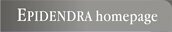 EPIDENDRA Homepage